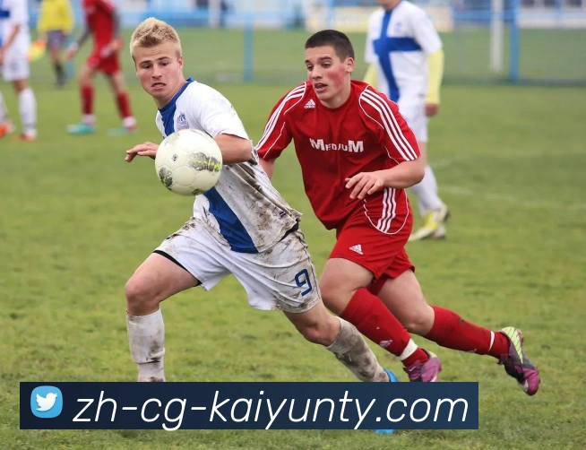 ky开云服务体系